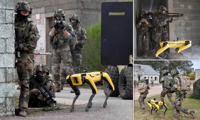  “Boston Dynamics”in robot itləri döyüş ssenarilərində sınaqdan keçirilir -  FOTOLAR 
 