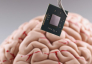  İlon Maskın “Neuralink” şirkəti beyin çipini implantasiya etməyə hazırdır: <span style=