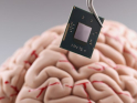  İlon Maskın “Neuralink” şirkəti beyin çipini implantasiya etməyə hazırdır:  Şərtlər müəyyən edilib 
 